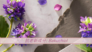 抗老新成分 Bakuchiol - BEAUTY ACADEMY HK